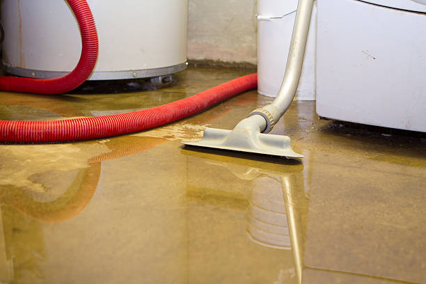  Cerritos, CA Water damage restoration Pros